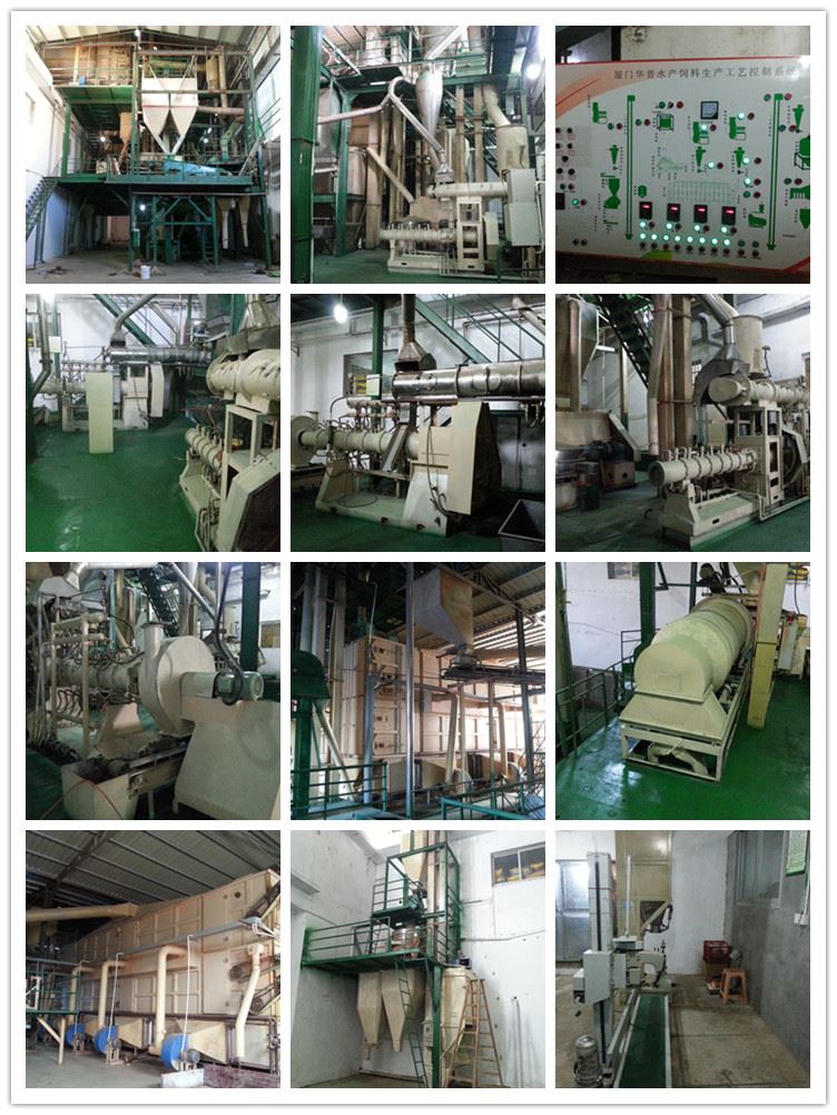 singing brid food processing