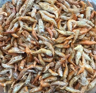 freeze dried river shrimp freeze dried river shrimp