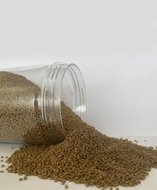 Aqua Plus thrushes bird feed Aqua Plus thrushes bird feed