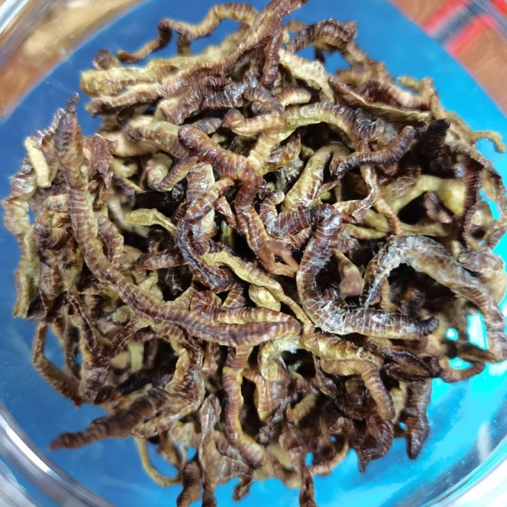 Freeze Dried Earthworms Freeze Dried Earthworms
